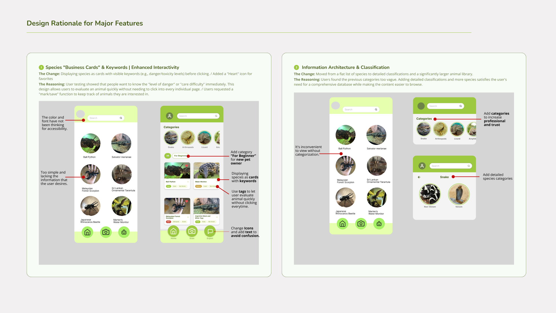 Exotic Pet case study page 6